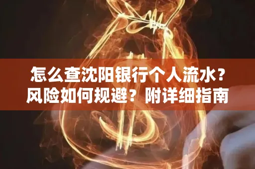 怎么查沈阳银行个人流水?风险如何规避?附详细指南