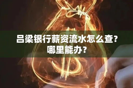 吕梁银行薪资流水怎么查?哪里能办?