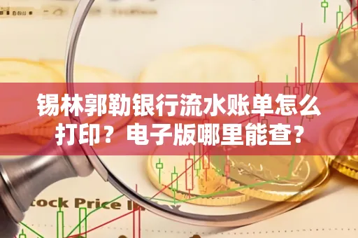 锡林郭勒银行流水账单怎么打印?电子版哪里能查?