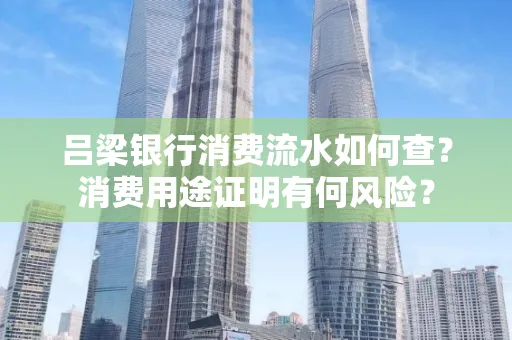 吕梁银行消费流水如何查？消费用途证明有何风险？