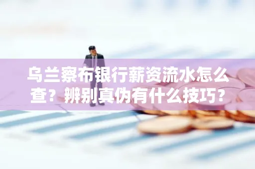 乌兰察布银行薪资流水怎么查?辨别真伪有什么技巧?