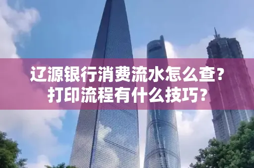 辽源银行消费流水怎么查？打印流程有什么技巧？