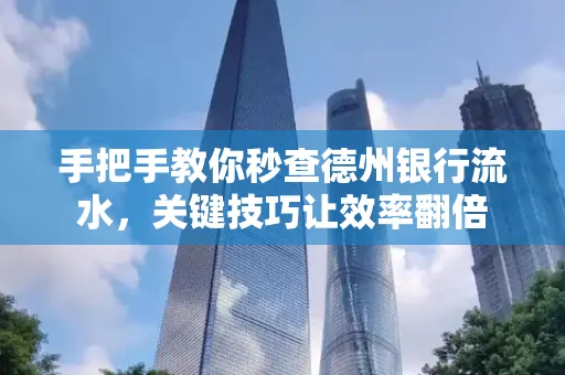 手把手教你秒查德州银行流水，关键技巧让效率翻倍