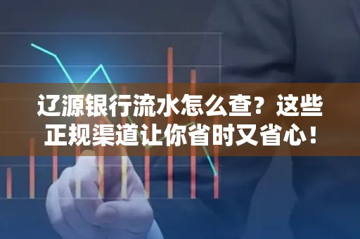 辽源银行流水怎么查？这些正规渠道让你省时又省心！