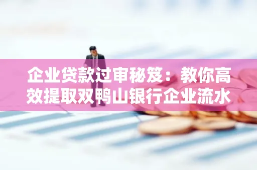 企业贷款过审秘笈：教你高效提取双鸭山银行企业流水