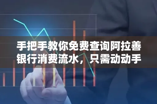 手把手教你免费查询阿拉善银行消费流水，只需动动手指就能完成