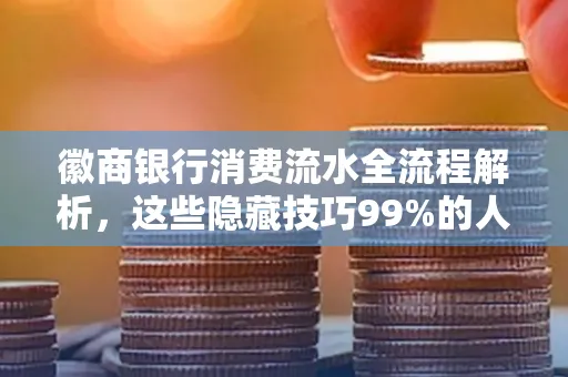 徽商银行消费流水全流程解析,这些隐藏技巧99%的人不知道