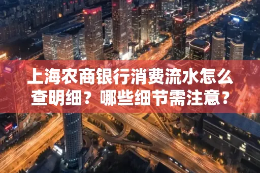 上海农商银行消费流水怎么查明细?哪些细节需注意?
