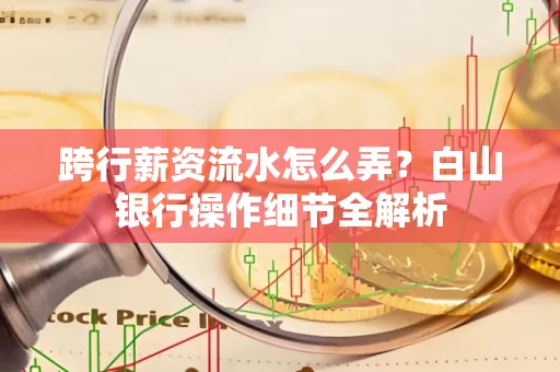 跨行薪资流水怎么弄?白山银行操作细节全解析