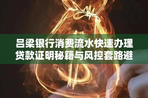 吕梁银行消费流水快速办理贷款证明秘籍与风控套路避坑指南