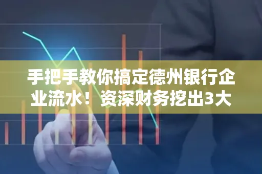 手把手教你搞定德州银行企业流水!资深财务挖出3大隐藏风险点