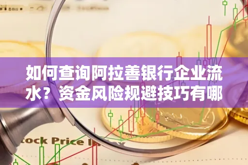 如何查询阿拉善银行企业流水?资金风险规避技巧有哪些?