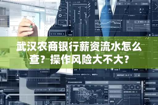 武汉农商银行薪资流水怎么查?操作风险大不大?