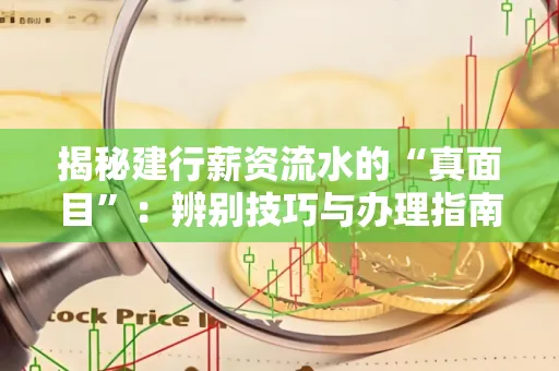 揭秘建行薪资流水的“真面目”:辨别技巧与办理指南大公开