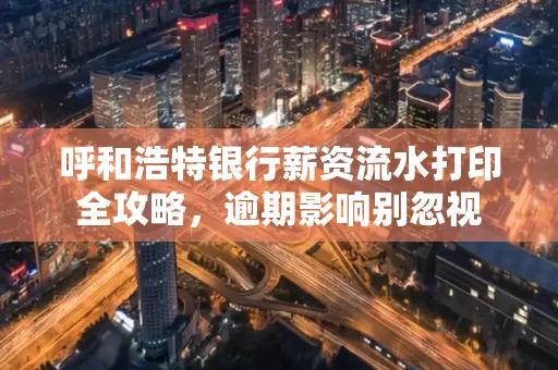 呼和浩特银行薪资流水打印全攻略,逾期影响别忽视